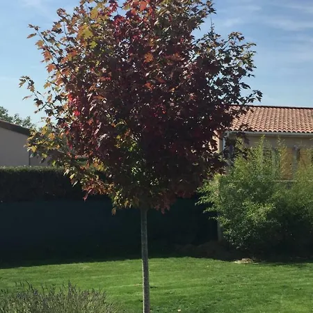 D'hotes Asam Gasthuis Lherm (Haute-Garonne)