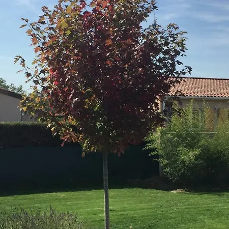 D'hotes Asam Guest house Lherm (Haute-Garonne)